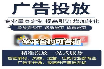 SEM优化策略：案例解读成功之道